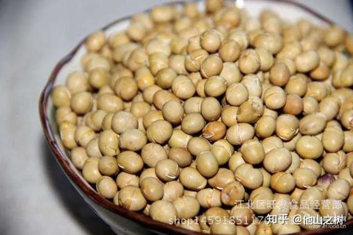 家用现磨豆浆机哪个牌子好_家用磨豆浆机价格_家用磨豆浆用什么机器好