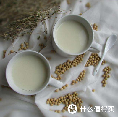 豆浆机怎么选？豆浆机什么牌子好？2022年豆浆机选购推荐全攻略