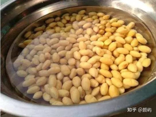 九阳豆浆机好么_九阳豆浆机哪款最好_九阳豆浆机好在哪